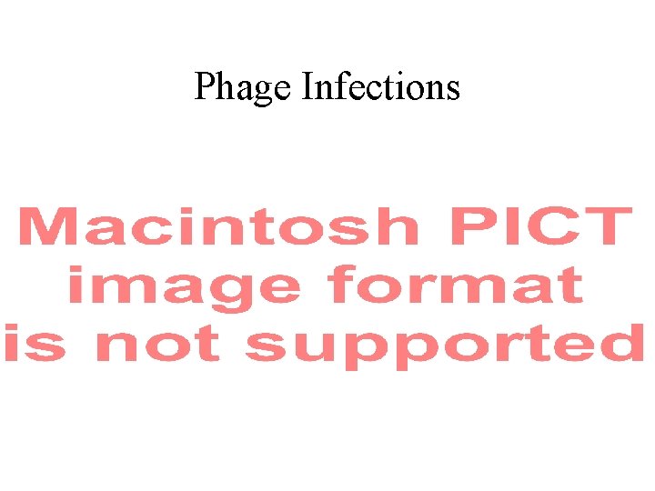 Phage Infections 