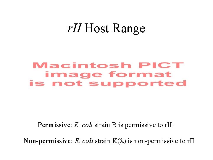 r. II Host Range Permissive: E. coli strain B is permissive to r. IINon-permissive: