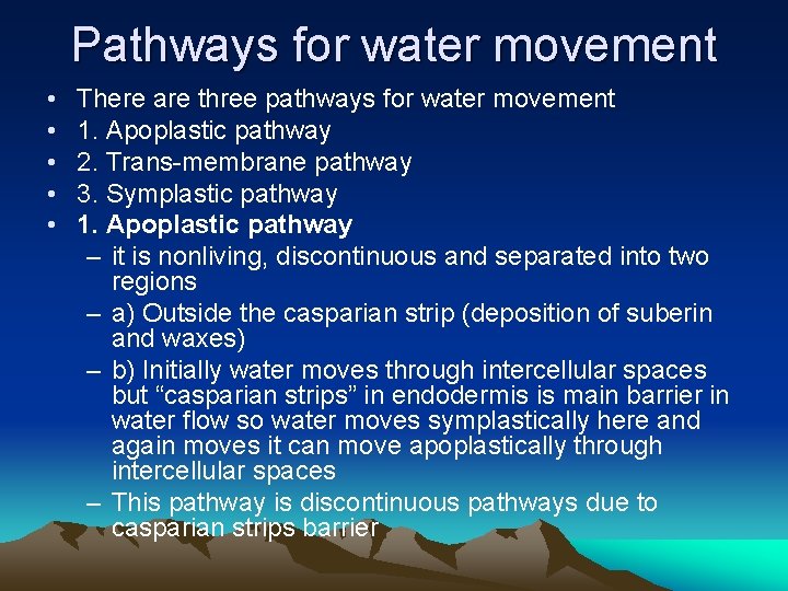Pathways for water movement • • • There are three pathways for water movement
