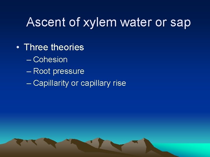 Ascent of xylem water or sap • Three theories – Cohesion – Root pressure