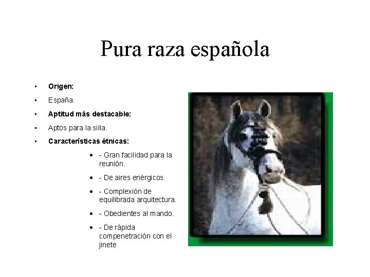 Pura raza española • Origen: • España. • Aptitud más destacable: • Aptos para