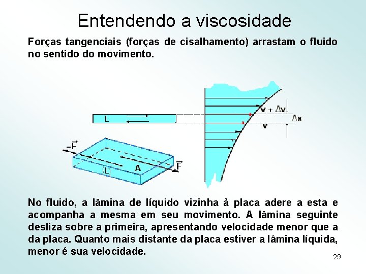 Entendendo a viscosidade Forças tangenciais (forças de cisalhamento) arrastam o fluido no sentido do