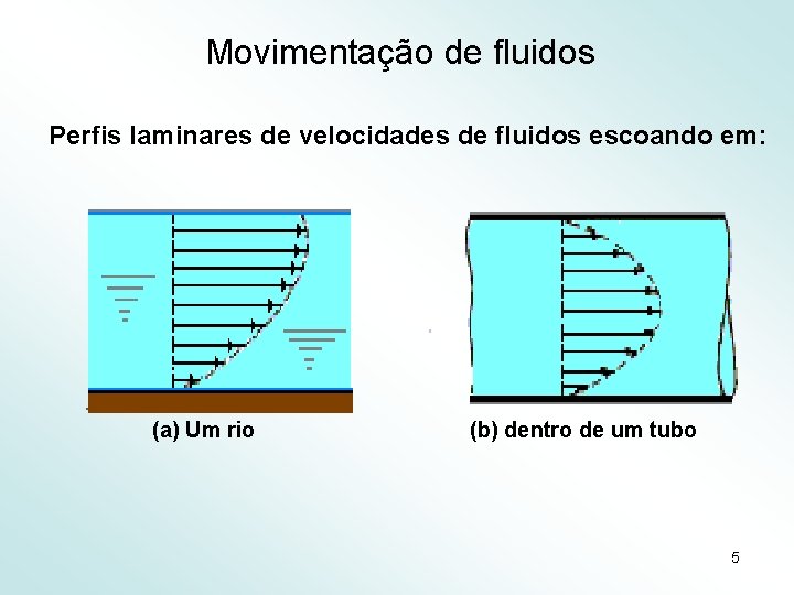 Movimentação de fluidos Perfis laminares de velocidades de fluidos escoando em: (a) Um rio