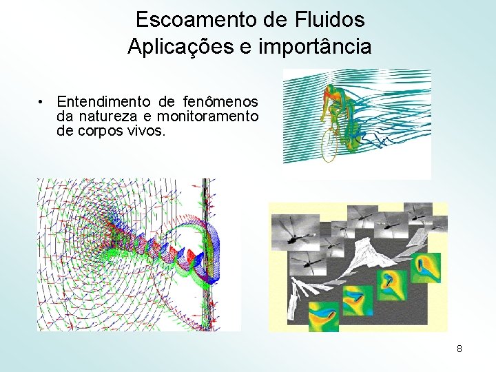 Escoamento de Fluidos Aplicações e importância • Entendimento de fenômenos da natureza e monitoramento