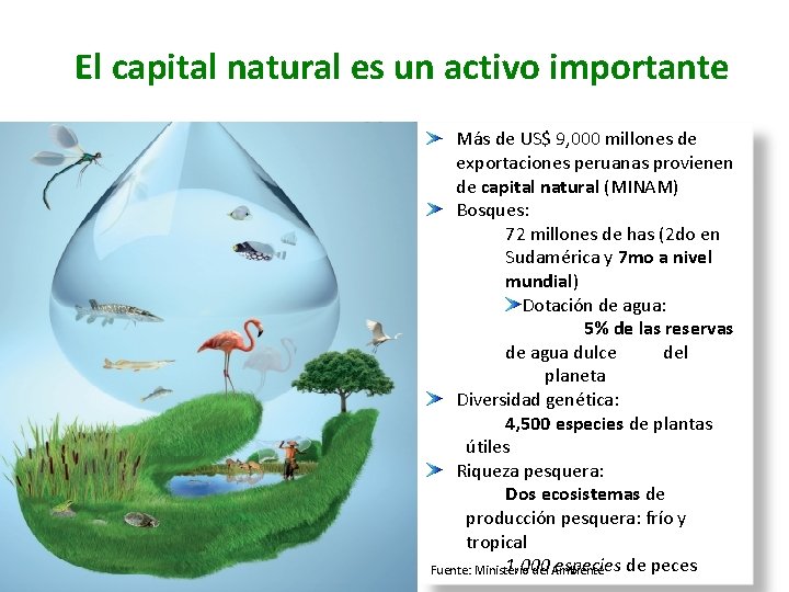 El capital natural es un activo importante Más de US$ 9, 000 millones de