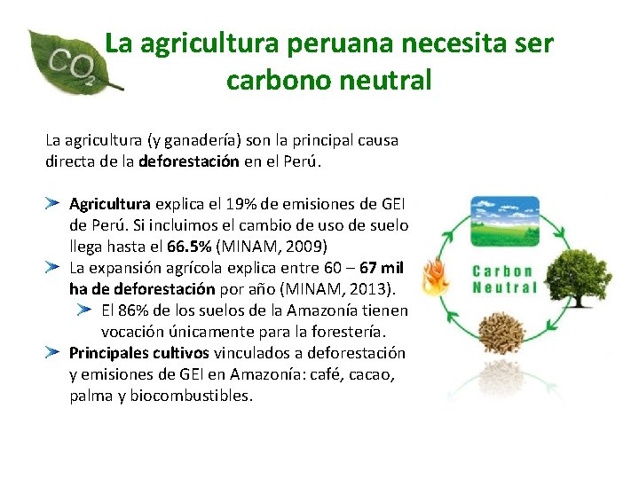 La agricultura peruana necesita ser carbono neutral La agricultura (y ganadería) son la principal