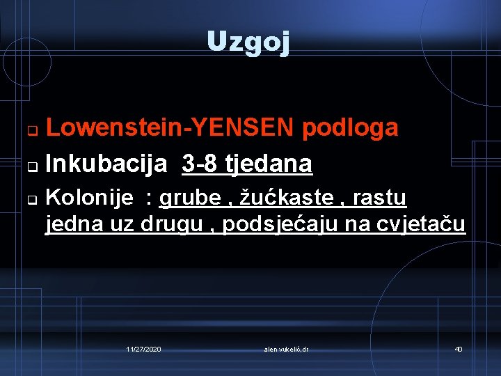 Uzgoj Lowenstein-YENSEN podloga q Inkubacija 3 -8 tjedana q q Kolonije : grube ,