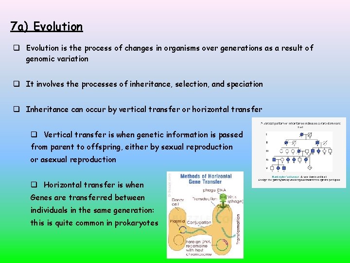7 a) Evolution is the process of changes in organisms over generations as a