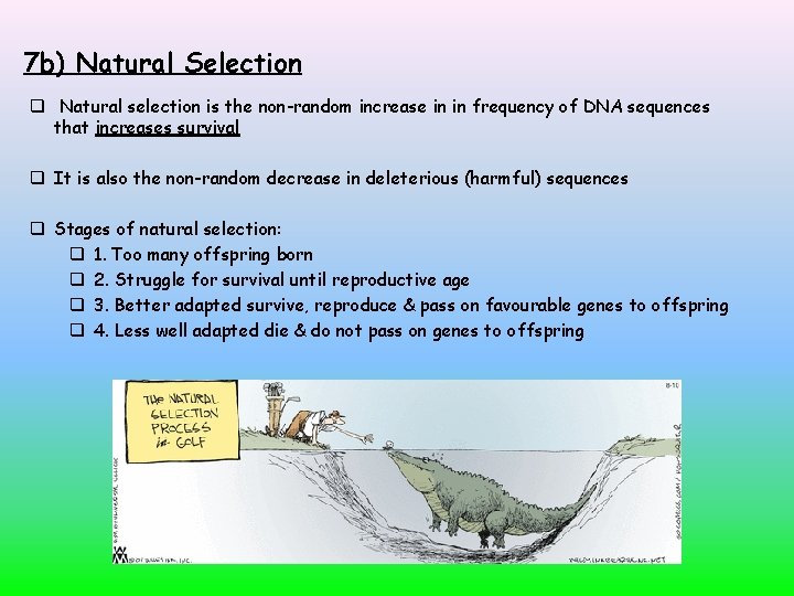 7 b) Natural Selection Natural selection is the non-random increase in in frequency of