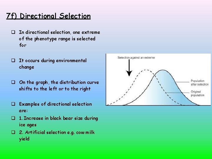7 f) Directional Selection In directional selection, one extreme of the phenotype range is