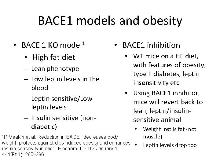 BACE 1 models and obesity • BACE 1 KO model 1 • High fat