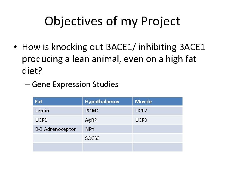 Objectives of my Project • How is knocking out BACE 1/ inhibiting BACE 1