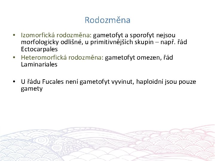 Rodozměna • Izomorfická rodozměna: gametofyt a sporofyt nejsou morfologicky odlišné, u primitivnějších skupin –