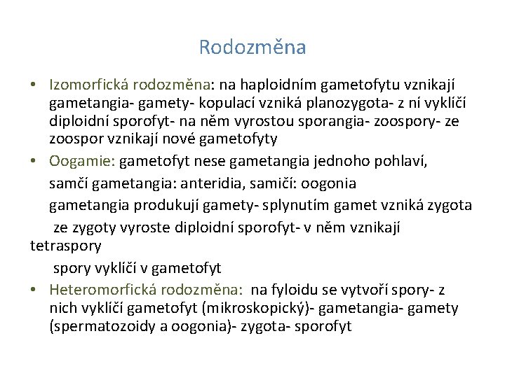 Rodozměna • Izomorfická rodozměna: na haploidním gametofytu vznikají gametangia- gamety- kopulací vzniká planozygota- z