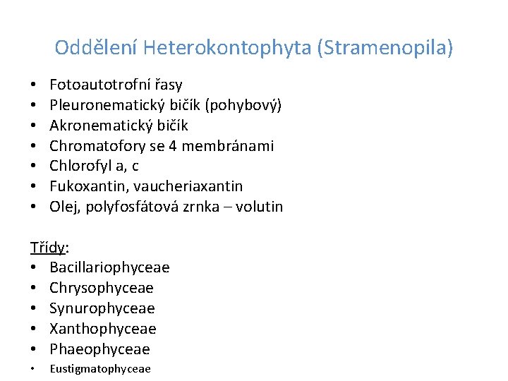 Oddělení Heterokontophyta (Stramenopila) • • Fotoautotrofní řasy Pleuronematický bičík (pohybový) Akronematický bičík Chromatofory se