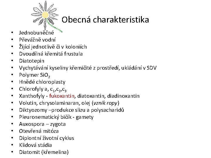 Obecná charakteristika • • • • • Jednobuněčné Převážně vodní Žijící jednotlivě či v