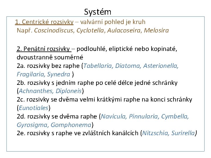 Systém 1. Centrické rozsivky – valvární pohled je kruh Např. Coscinodiscus, Cyclotella, Aulacoseira, Melosira