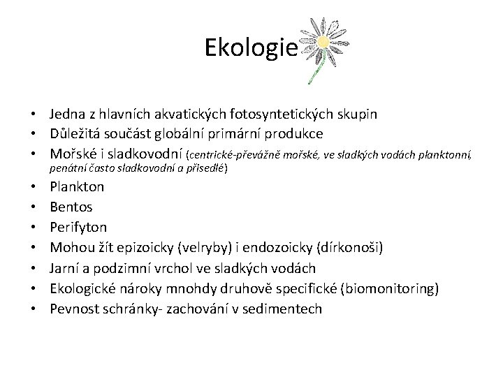 Ekologie • Jedna z hlavních akvatických fotosyntetických skupin • Důležitá součást globální primární produkce