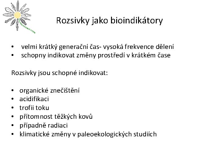 Rozsivky jako bioindikátory • velmi krátký generační čas- vysoká frekvence dělení • schopny indikovat