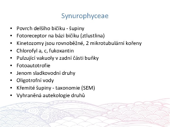 Synurophyceae • • • Povrch delšího bičíku - šupiny Fotoreceptor na bázi bičíku (ztlustlina)