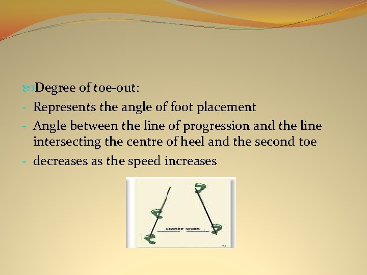  Degree of toe-out: - Represents the angle of foot placement - Angle between