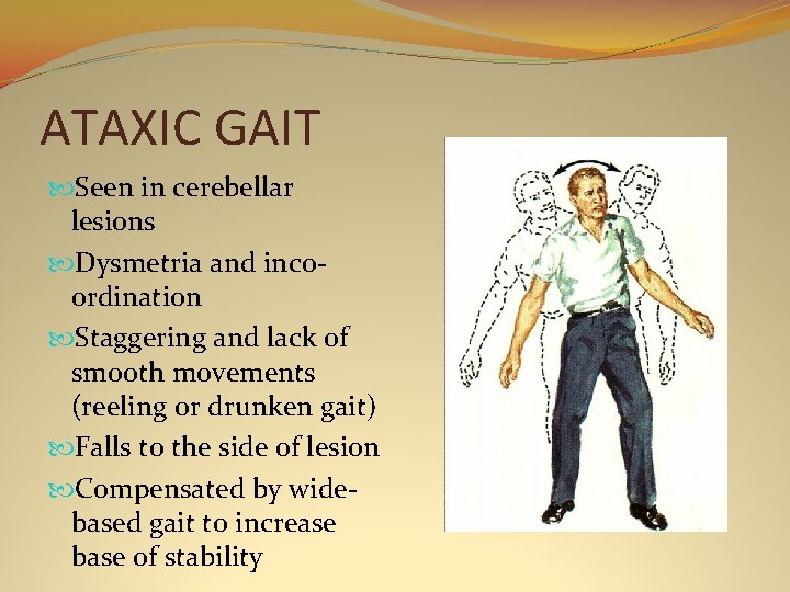ATAXIC GAIT Seen in cerebellar lesions Dysmetria and incoordination Staggering and lack of smooth