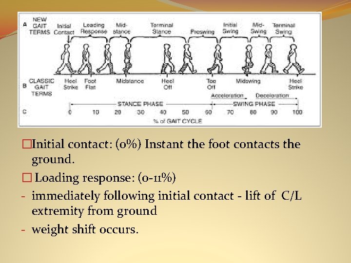 DEFINITIONS �Initial contact: (0%) Instant the foot contacts the ground. � Loading response: (0