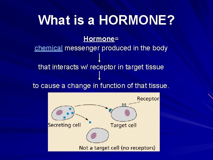 What is a HORMONE? Hormone= chemical messenger produced in the body that interacts w/ What is a HORMONE? Hormone= chemical messenger produced in the body that interacts w/