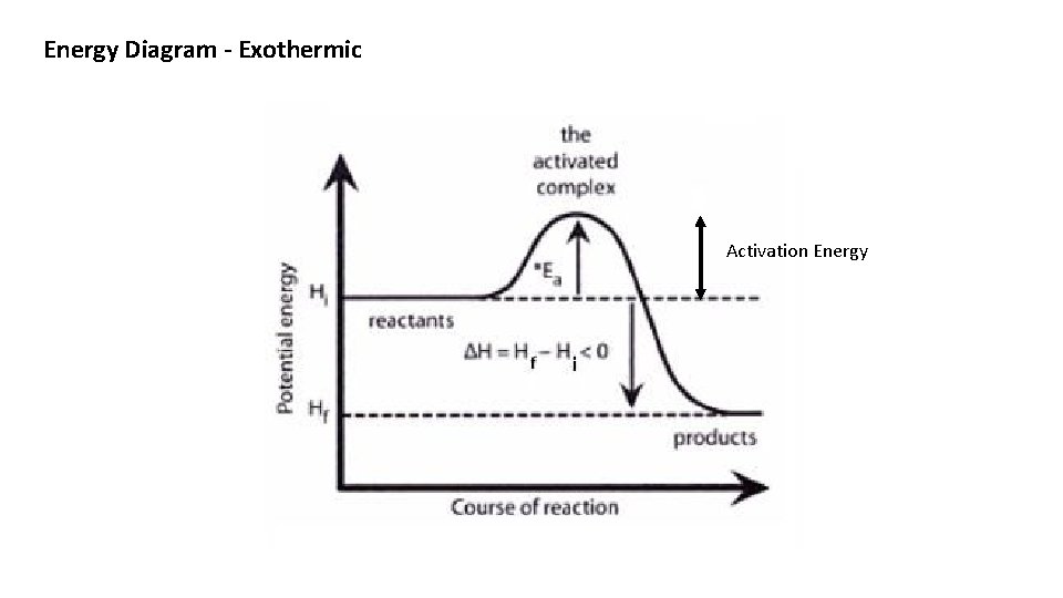 Energy Diagram - Exothermic Activation Energy 