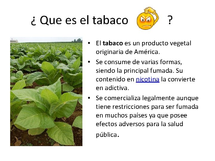 ¿ Que es el tabaco ? • El tabaco es un producto vegetal originaria