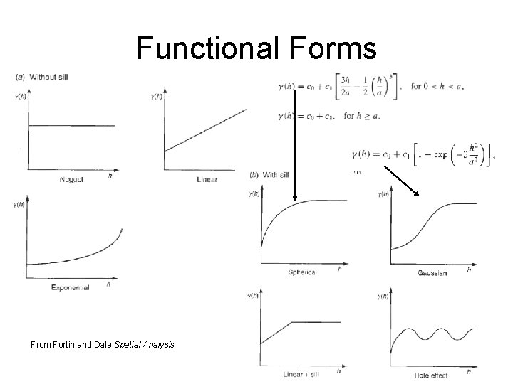 Functional Forms From Fortin and Dale Spatial Analysis Functional Forms From Fortin and Dale Spatial Analysis