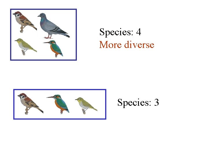 Species: 4 More diverse Species: 3 