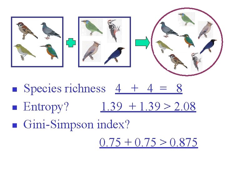 n n n Species richness 4 + 4 = 8 Entropy? 1. 39 +