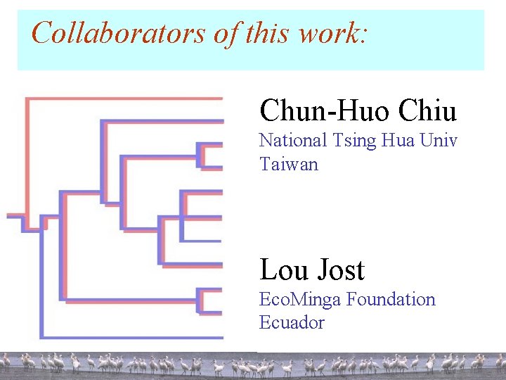 Collaborators of this work: Chun-Huo Chiu National Tsing Hua Univ Taiwan Lou Jost Eco.