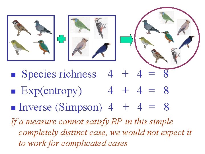 Species richness 4 + 4 = 8 n Exp(entropy) 4 + 4 = 8