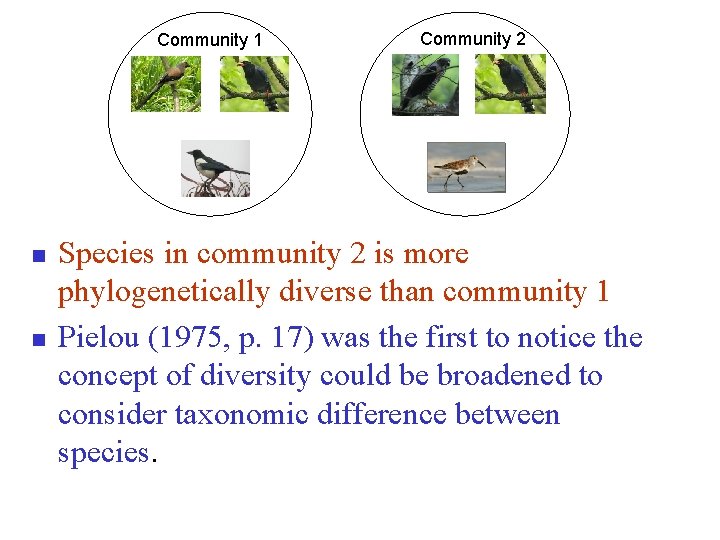 Community 1 n n Community 2 Species in community 2 is more phylogenetically diverse