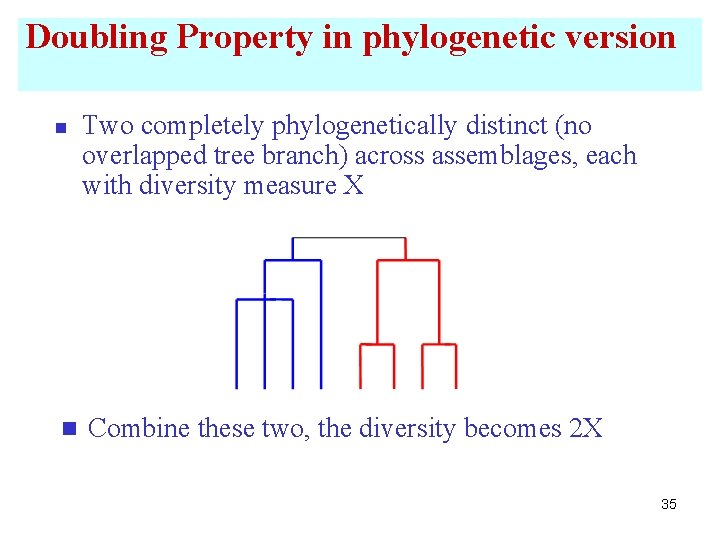 Doubling Property in phylogenetic version n n Two completely phylogenetically distinct (no overlapped tree
