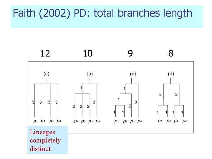 Faith (2002) PD: total branches length 12 Lineages completely distinct 10 9 8 