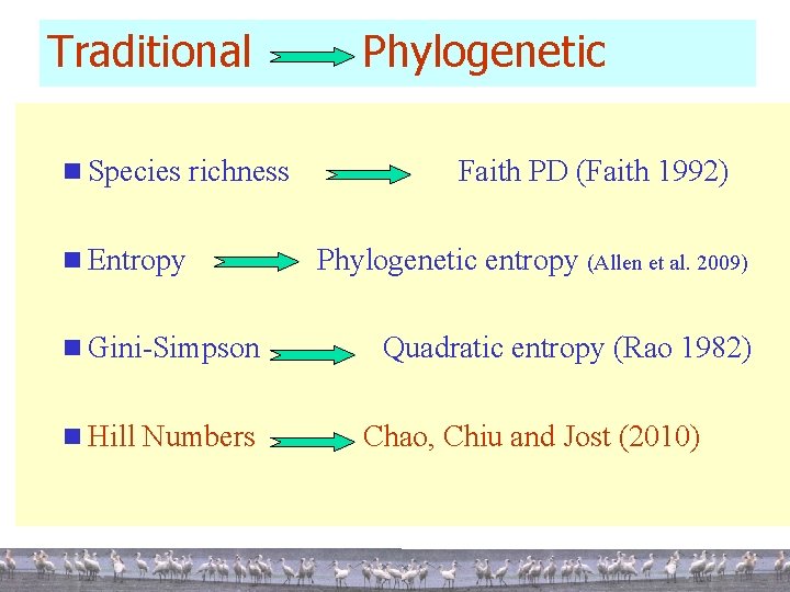 Traditional n Species richness n Entropy n Gini-Simpson n Hill Numbers Phylogenetic Faith PD