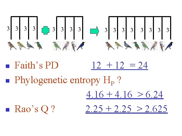 3 3 n n n 3 3 3 Faith’s PD 12 + 12 =