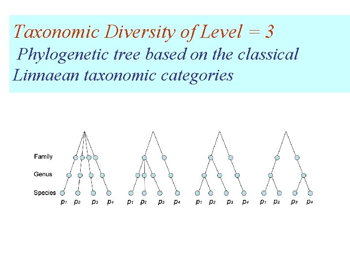 Taxonomic Diversity of Level = 3 Phylogenetic tree based on the classical Linnaean taxonomic