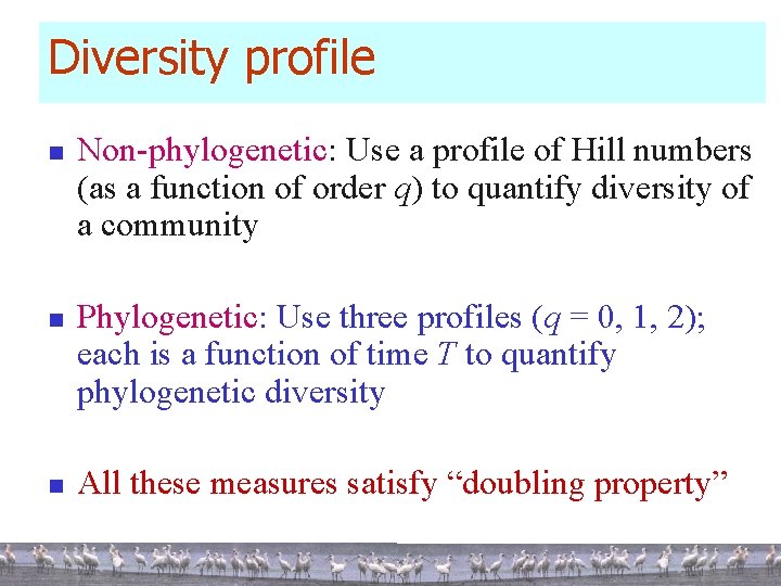 Diversity profile n n n Non-phylogenetic: Use a profile of Hill numbers (as a