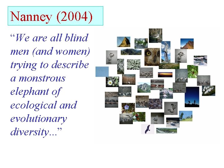 Nanney (2004) “We are all blind men (and women) trying to describe a monstrous