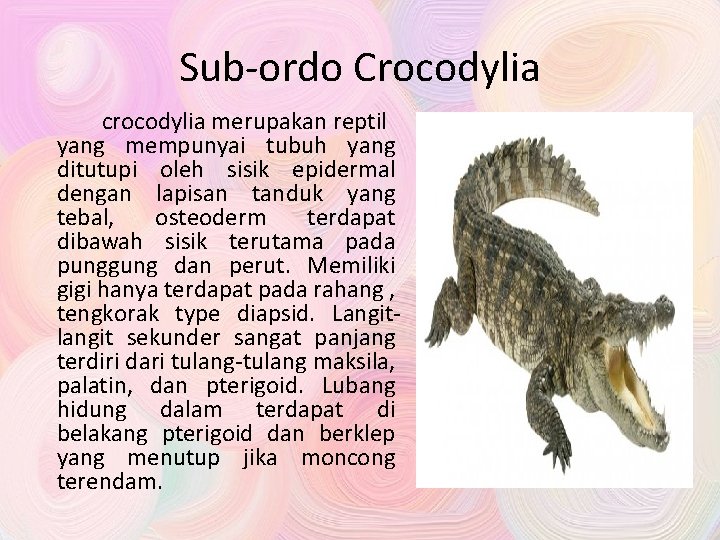 Sub-ordo Crocodylia crocodylia merupakan reptil yang mempunyai tubuh yang ditutupi oleh sisik epidermal dengan