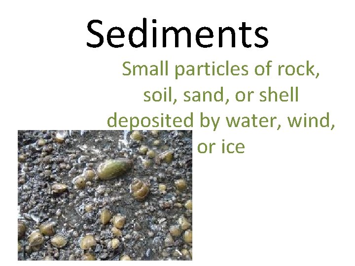 Sediments Small particles of rock, soil, sand, or shell deposited by water, wind, or