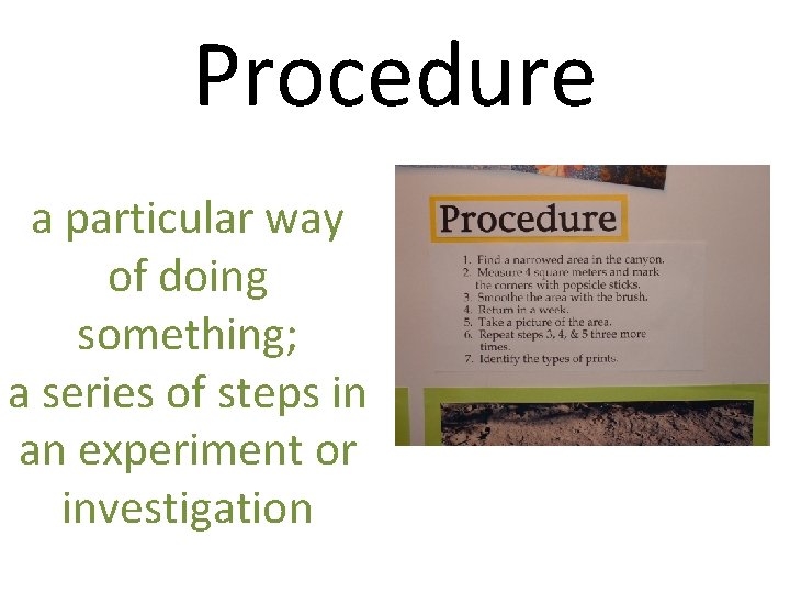 Procedure a particular way of doing something; a series of steps in an experiment