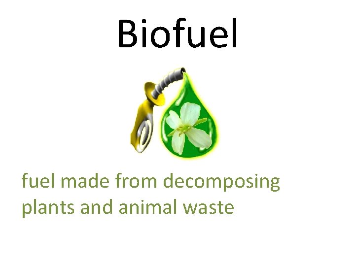 Biofuel made from decomposing plants and animal waste 