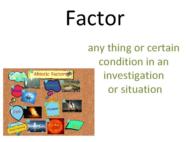 Factor any thing or certain condition in an investigation or situation 