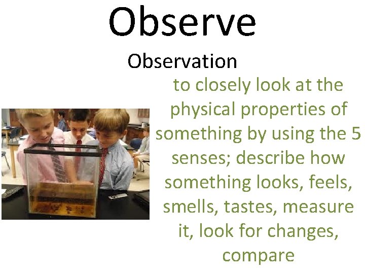 Observe Observation to closely look at the physical properties of something by using the