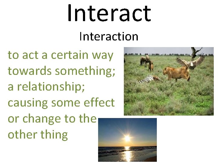 Interaction to act a certain way towards something; a relationship; causing some effect or